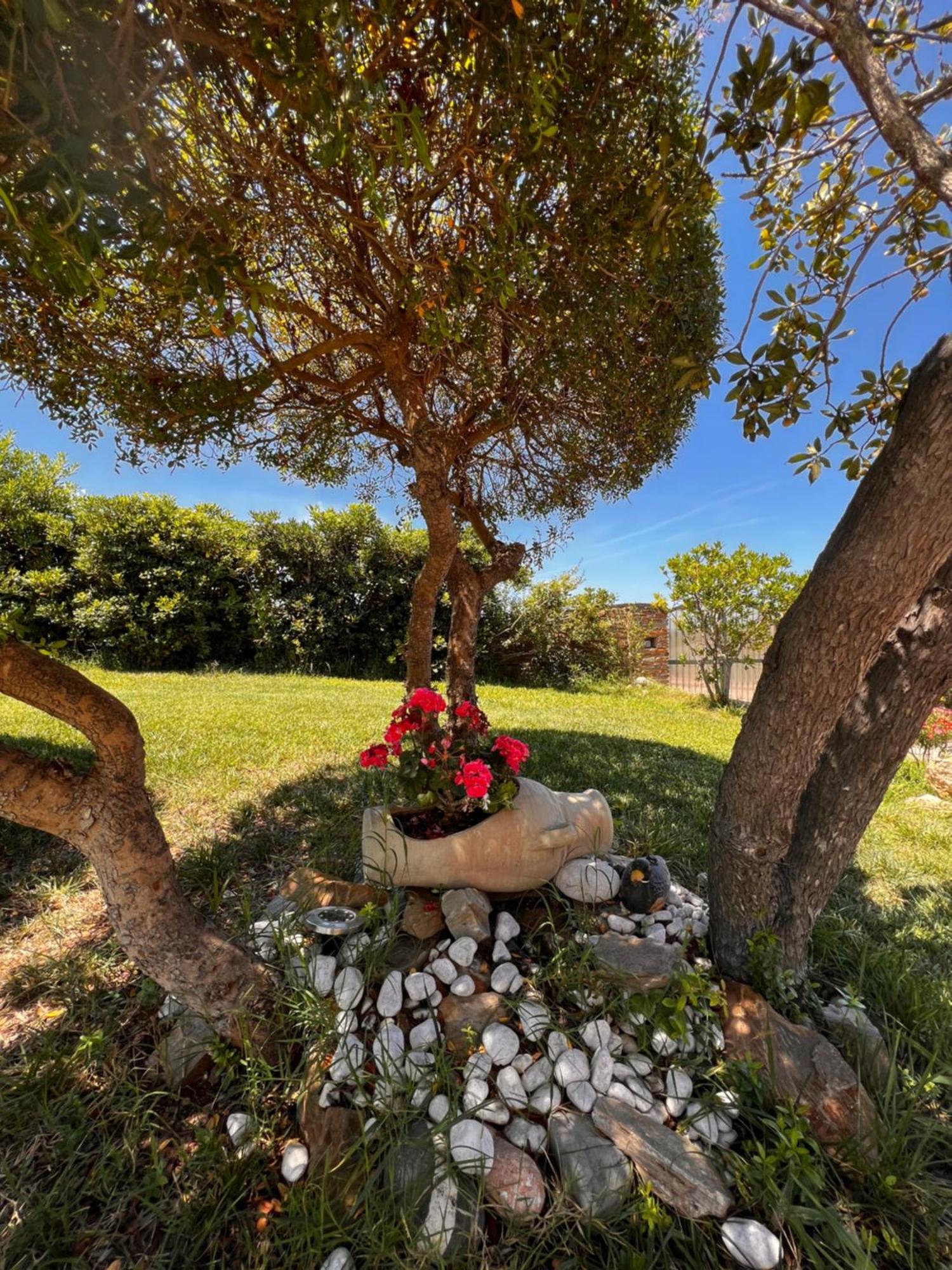Villa Patrizia Stintino Exterior foto